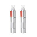 資生堂プロフェッショナル デザインフレックス フォーミングワックス 300g 2個セット スタイリングフォーム