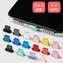 保護キャップ 同色2個セット lightning端子口 保護カバー iPhone用 コネクタキャップ iPhone 12 13シリーズ Pro ProMax イ...