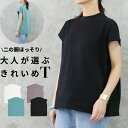 【¥1,955!!クーポンで159】モックネック Tシャツ フレンチスリーブ 春 夏 体型カバー ビッグシルエット カットソー モックネックフレンチTシャツ レ...
