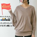 【WN-0002】大きいサイズ Tシャツ コットンニット Vネックドルマン 綿ニット モモンガ セーター プルオーバー プラスサイズ 綿 LL 3L 4L L ...
