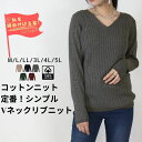 【WN-0114】大きいサイズ Tシャツ コットンニット Vネックドルマン 綿ニット モモンガ セーター プルオーバー プラスサイズ 綿 LL 3L 4L L ...