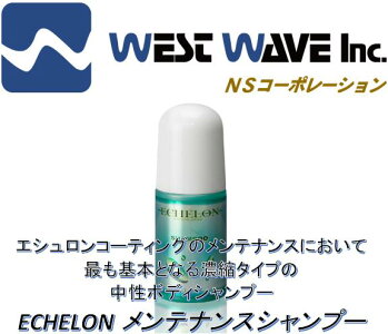 ECHELON(エシュロン)メンテナンスシャンプー100mlコーティング剤車コーティングコンディショナーメンテナンス剤中性洗車シャンプー洗剤ワックス