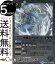 バトルスピリッツ 甲剣士ブリザード ( コモン ) 神光の導き ( BSC34 ) | バトスピ オールキラブースター スピリット 白 剣使・甲竜 BattleSpirits 40円