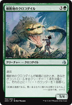 マジック：ザ・ギャザリング 横断地のクロコダイル アモンケット AKH | ギャザ MTG マジック・ザ・ギャザリング 日本語版 クリーチャー 緑 アモンケット・ブロック