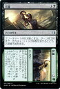 マジック：ザ ギャザリング 天導 / 先導 フォイル Foil アモンケット AKH ギャザ MTG マジック ザ ギャザリング 日本語版 インスタント 黒 アモンケット ブロック