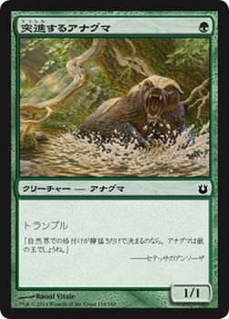 ★マジック:ザ・ギャザリング（Magic: The Gathering） 神々の軍勢/Born of the Gods 収録 ■カード名：突進するアナグマ/Charging Badger （とっしんするあなぐま） ■マナコスト：(緑) ■タイプ：クリーチャー−アナグマ(Badger) ■テキスト トランプル (118/165) ■レアリティ：コモン　