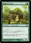 マジック：ザ・ギャザリング 迷路のビヒモス フォイル Foil ドラゴンの迷路 DGM | ギャザ MTG マジック・ザ・ギャザリング 日本語版 クリーチャー 緑 ラヴニカへの回帰ブロック