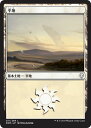 MTG マジック:ザ・ギャザリング 平地 基本土地 ドミナリア DOM MAGIC The Gathering | ギャザ MTG マジック・ザ・ギャザリング 日本語版 土地(3)