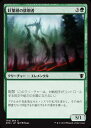マジック:ザ・ギャザリング 針葉樹の徘徊者 タルキール龍紀伝 DTK | ギャザ MTG マジック・ザ・ギャザリング 日本語版 クリーチャー 緑 タルキール覇王...