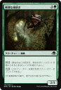 マジック:ザ・ギャザリング 敏捷な巣紡ぎ 異界月 EMN | ギャザ MTG マジック・ザ・ギャザリング 日本語版 クリーチャー 緑 イニストラードを覆う影ブロ...