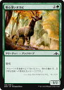 MTG マジック：ザ ギャザリング 用心深いオカピ コモン ラヴニカのギルド GRN MAGIC The Gathering ギャザ MTG マジック ザ ギャザリング 日本語版 クリーチャー 緑