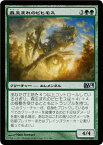 マジック：ザ・ギャザリング 森生まれのビヒモス 基本セット 2014 M14 | ギャザ MTG マジック・ザ・ギャザリング 日本語版 クリーチャー 緑