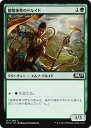 MTG マジック：ザ ギャザリング 僧帽地帯のドルイド コモン 基本セット2019 M19 MAGIC The Gathering ギャザ MTG マジック ザ ギャザリング 日本語版 クリーチャー 緑