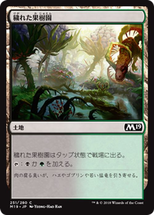 MTG マジック：ザ・ギャザリング 穢れた果樹園 コモン 基本セット2019 M19 MAGIC The Gathering | ギャザ MTG マジック・ザ・ギャザリング 日本語版 土地 土地