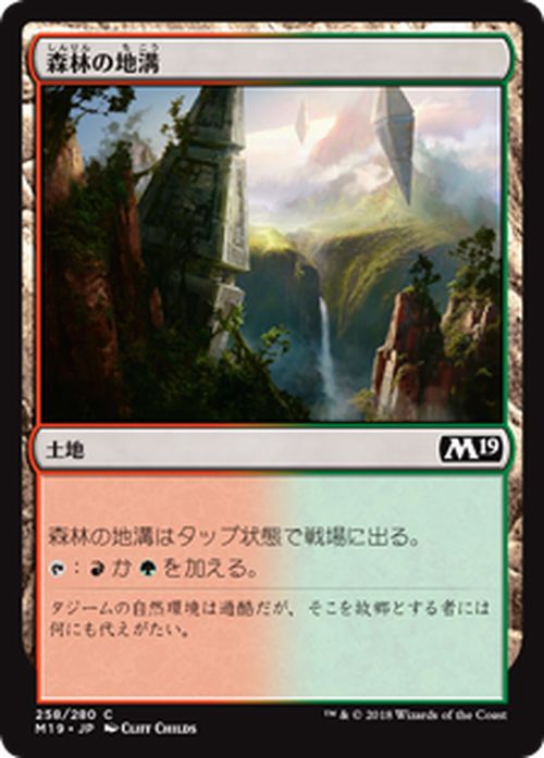 MTG マジック：ザ・ギャザリング 森林の地溝 コモン 基本セット2019 M19 MAGIC The Gathering | ギャザ MTG マジック・ザ・ギャザリング 日本語版 土地 土地