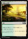 MTG マジック：ザ ギャザリング 平穏なる広野 コモン 基本セット2019 M19 MAGIC The Gathering ギャザ MTG マジック ザ ギャザリング 日本語版 土地 土地