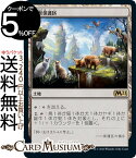 MTG マジック：ザ・ギャザリング 鳥獣保護区 レア 基本セット2021 M21 ギャザ日本語版 土地 土地