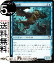 MTG }WbNFUEMUO ٌ`̔ tHC CjXg[hF^钆̎ MID }WbNFUEMUO | MU MTG }WbNEUEMUO { N[`[ 