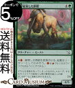 MTG マジック:ザ・ギャザリング 結束した群獣 フォイル/セットブースター開封 機械兵団の進軍 MOM-SBF0178 0日本語版 クリーチャー 多色