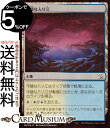 MTG マジック:ザ・ギャザリング 平穏な入り江 フォイル/セットブースター開封 機械兵団の進軍 MOM-SBF0275 0日本語版 土地 土地