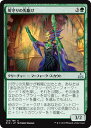 マジック：ザ・ギャザリング 川守りの先駆け イクサランの相克 RIX | ギャザ MTG マジック・ザ・ギャザリング 日本語版 クリーチャー 緑 イクサラン・ブロック