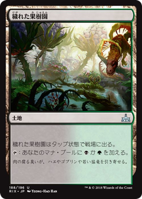 マジック：ザ・ギャザリング 穢れた果樹園 イクサランの相克 RIX | ギャザ MTG マジック・ザ・ギャザリング 日本語版 土地 イクサラン・ブロック