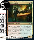 MTG }WbNFUEMUO WFg~A̒ R j[Jyi̊Xp SNC-194 }WbNFUEMUO | MU MTG }WbNEUEMUO { F