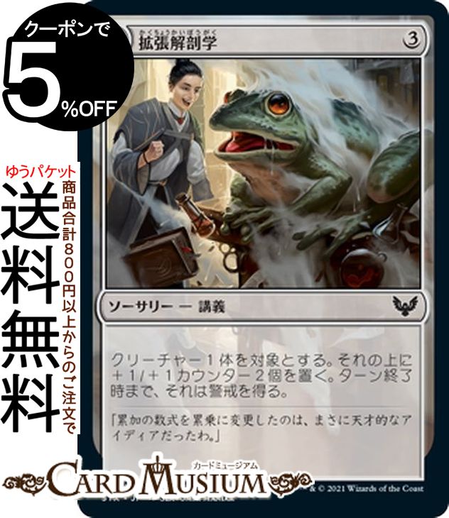MTG マジック：ザ・ギャザリング 拡張解剖学 コモン ストリクスヘイヴン：魔法学院 STX マジック：ザ・ギャザリング ギャザ MTG マジック・ザ・ギャザリング 日本語版 ソーサリー 無