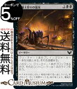 MTG マジック:ザ・ギャザリング 魔道士狩りの猛攻 コモン ストリクスヘイヴン:魔法学院 STX マジック:ザ・ギャザリング ギャザ MTG マジック・ザ・ギャザリング 日本語版 ソーサリー 黒