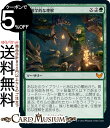 MTG マジック:ザ・ギャザリング 生態学的な理解 神話レア ストリクスヘイヴン:魔法学院 STX マジック:ザ・ギャザリング ギャザ MTG マジック・ザ・ギャザリング 日本語版 ソーサリー 緑(3)