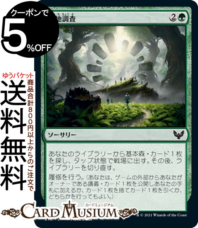 MTG マジック:ザ・ギャザリング 現地調査 コモン ストリクスヘイヴン:魔法学院 STX マジック:ザ・ギャザリング ギャザ MTG マジック・ザ・ギャザリング 日本語版 ソーサリー 緑