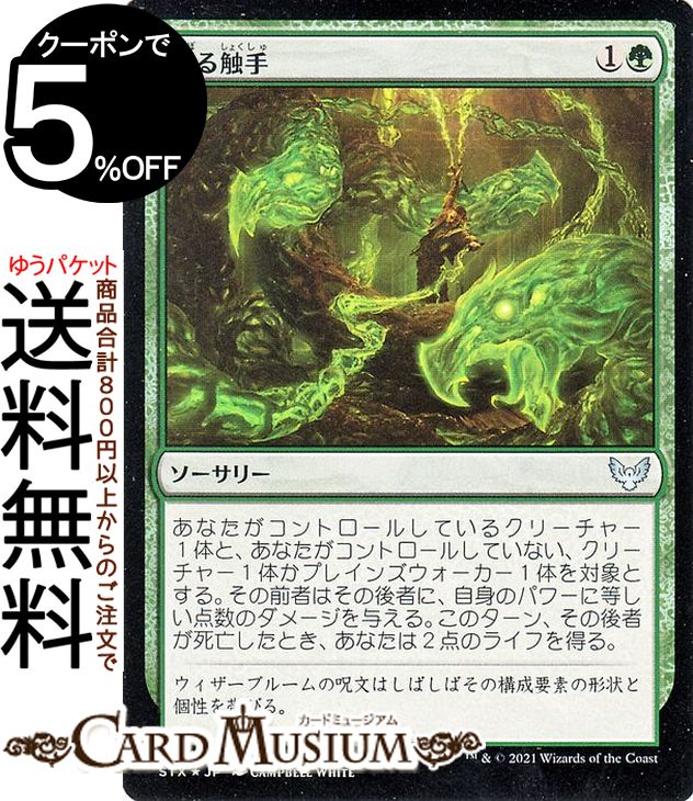 MTG マジック:ザ・ギャザリング 貪る触手 フォイル ストリクスヘイヴン:魔法学院 STX マジック:ザ・ギャザリング ギャザ MTG マジック・ザ・ギャザリング 日本語版 ソーサリー 緑