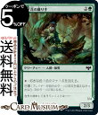 MTG マジック:ザ・ギャザリング 花の織り手/花纏いの人狼 コモン イニストラード:真紅の契り VOW マジック:ザ・ギャザリング | ギャザ MTG マジック・ザ・ギャザリング 日本語版 クリーチャー 緑