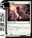 MTG マジック：ザ ギャザリング 幸運な野良猫 コモン 灯争大戦 WAR MAGIC The Gathering ギャザ MTG マジック ザ ギャザリング 日本語版 クリーチャー 白