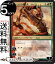 MTG マジック:ザ・ギャザリング ボーラスの壊乱者、ドムリ オリジナルアート 灯争大戦 WAR MAGIC The Gathering | ギャザ MTG マジック・ザ・ギャザリング 日本語版 伝説のプレインズウォーカー 多色 200円