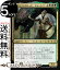 MTG マジック:ザ・ギャザリング デヴカリンのリッチ、ストーレフ レア 灯争大戦 WAR MAGIC The Gathering | ギャザ MTG マジック・ザ・ギャザリング 日本語版 伝説のクリーチャー 多色 70円