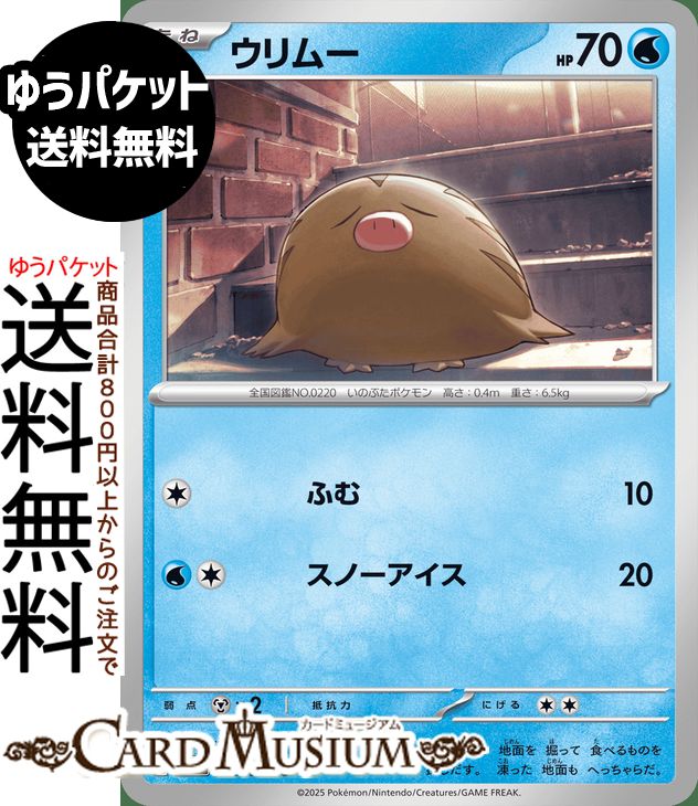 ɥߥ塼ࡡŷԾŹ㤨֥ݥ󥫡ɥ ࡼ C M2 ĥѥå եX (023/080 MEGA Pokemon | ݥ󥫡 ݥ ݥåȥ󥹥  ͥݥפβǤʤ42ߤˤʤޤ