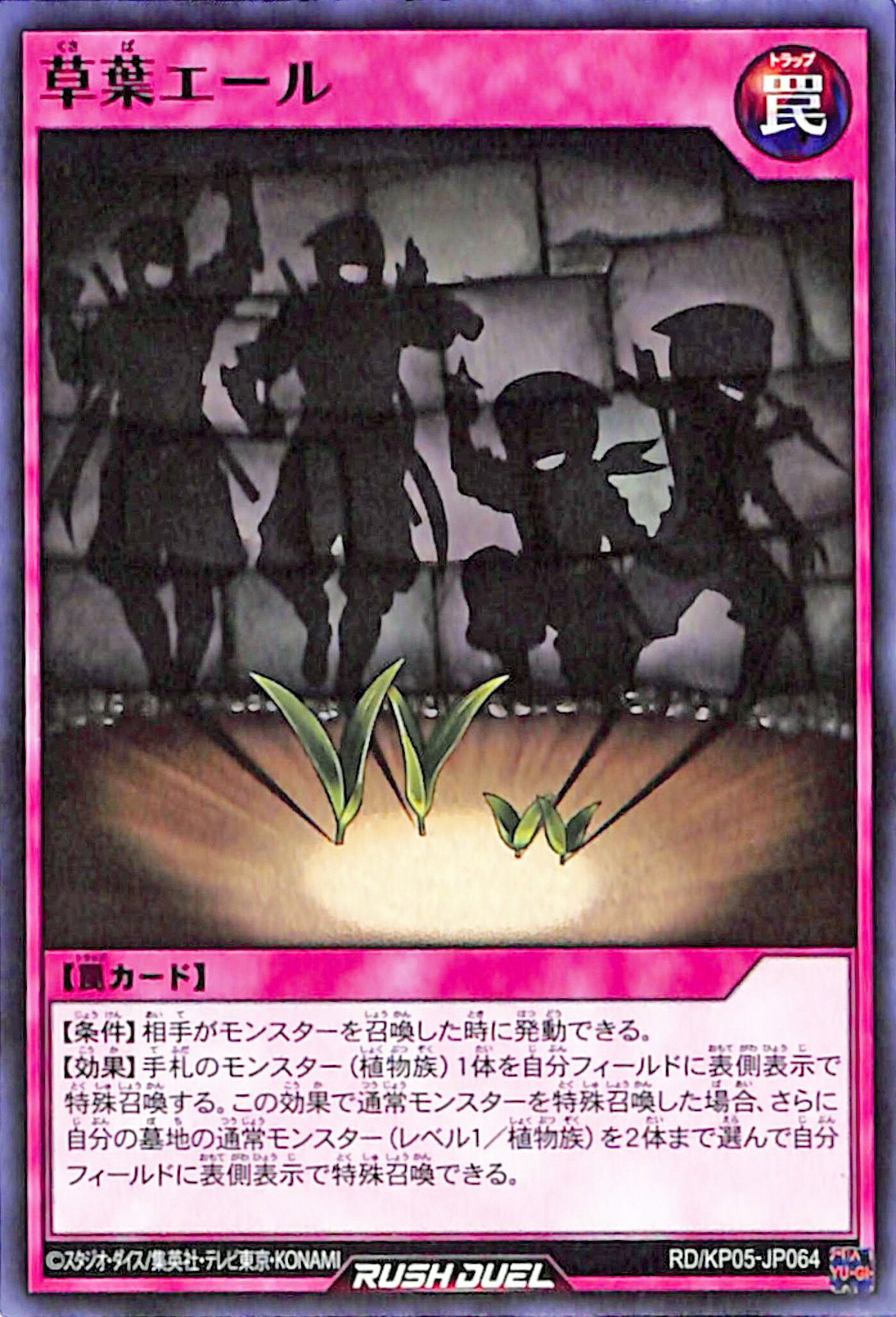 ͷåǥ奨륫 ե Ρޥ ưΥʥ饤!!RDKP05 Yugioh! ͷåǥ奨륫 ...