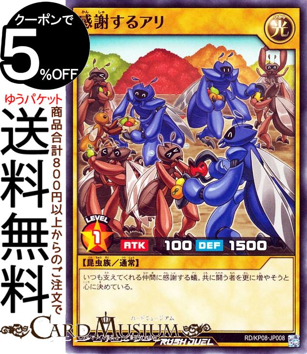 ͷ åǥ奨  դ륢 Ρޥ ǥå¤ѥå ¤Υޥɡ RD/KP08 Yugioh! |ͷ...