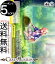 11-7027の画像
