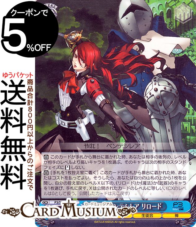  ץߥ֡ ڥ륽3  ڥƥ쥢 (N) P3/SE46-46 |   饯 ̲ 