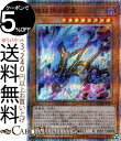 遊戯王カード 破械神の禍霊 ( 20th シークレットレア ) カオス・インパクト CHIM Yugioh! | 遊戯王 カオスインパクト カード 効果モンスタ...