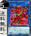 遊戯王カード 破械神アルバ ( レア ) カオス インパクト CHIM Yugioh 遊戯王 カオスインパクト カード リンク 効果モンスター 闇属性 悪魔族 レア