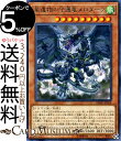 遊戯王カード 星遺物の守護竜メロダーク(レア) ダーク ネオストーム DANE Yugioh 遊戯王 カード 星遺物 守護竜 効果モンスター 風属性 ドラゴン族 レア