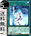 遊戯王カード 魔妖壊劫(レア) ダーク ネオストーム DANE Yugioh 遊戯王 カード 永続魔法 レア