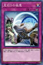 遊戯王カード 見切りの極意 エクストリーム・フォース EXFO YuGiOh! | 遊戯王 カード カウンター罠