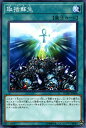 遊戯王カード 取捨蘇生 ノーマルレア フレイムズ・オブ・デストラクション FLOD YuGiOh! | 遊戯王 カード 取捨 蘇生 レア 通常魔法