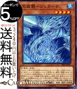 遊戯王カード 天威龍−シュターナ(ノーマル) ライジング ランペイジRIRA Yugioh 遊戯王 カード 効果モンスター 水属性 幻竜族 ノーマル