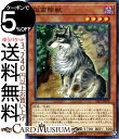 遊戯王カード 孤高除獣 ノーマルレア サベージ・ストライク SAST Yugioh! | 遊戯王 カード ココウノケモノ 効果モンスター 闇属性 獣族 ノーマル レア