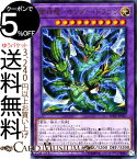 遊戯王カード 雷神龍−サンダー・ドラゴン(ウルトラレア) ソウル・フュージョン SOFU Yugioh! | 遊戯王 サンダードラゴン カード 融合・効果モンスター 光属性 雷族 ウルトラ レア ソウルフュージョン